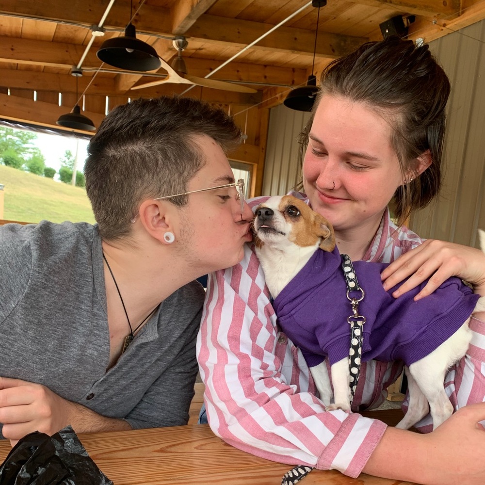 Meet your Posher, Tess